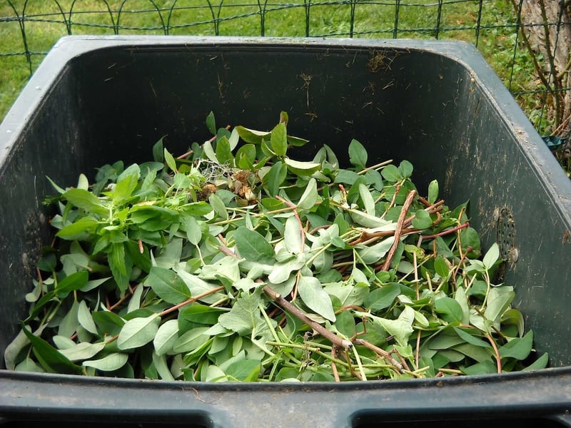Composting Guide