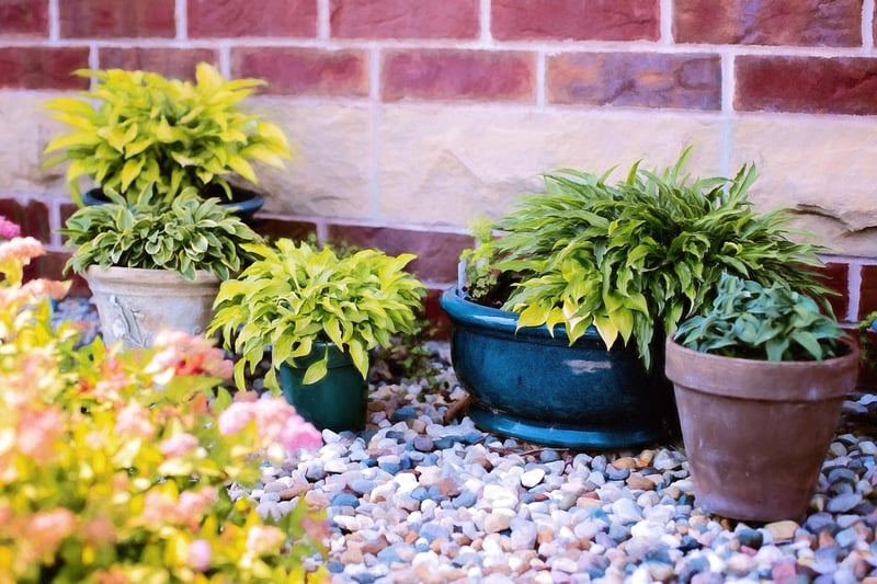 Container Gardening